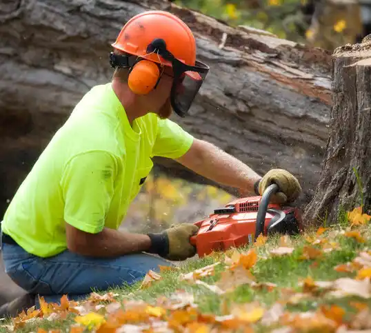 tree services Edgard